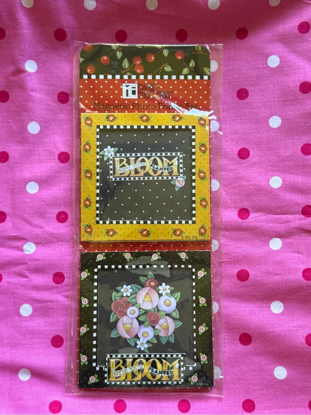 MARY ENGELBREIT Bloom Where You’re Planted Photo Magnets Frames Set New
